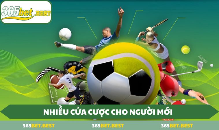 Nhieu cua cuoc cho nguoi moi Nhiều cửa cược cho người mới