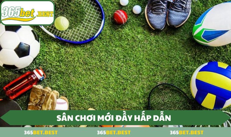 San choi moi day hap dan Sân chơi mới đầy hấp dẫn